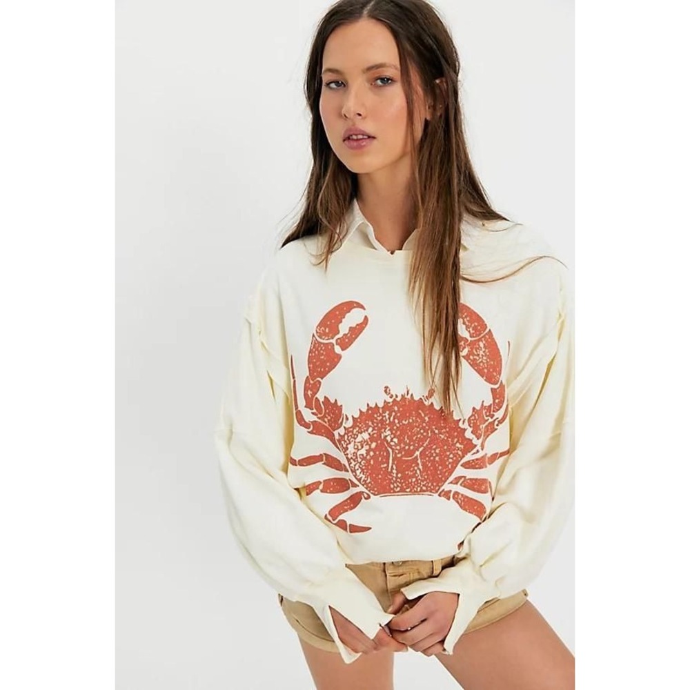 We the Free Graphic Camden Pullover at Free People in Crab Combo, Size: Medium
